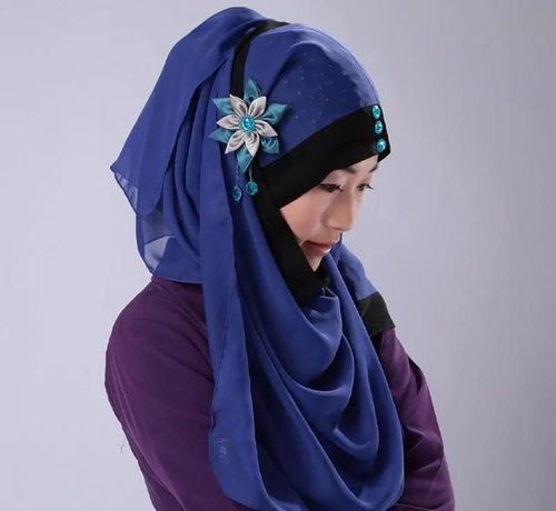 第一集 民族服飾之回族 明星陣容強(qiáng)大