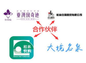 信息系統(tǒng)集成與全面技術服務 構筑數(shù)字時代的技術基石